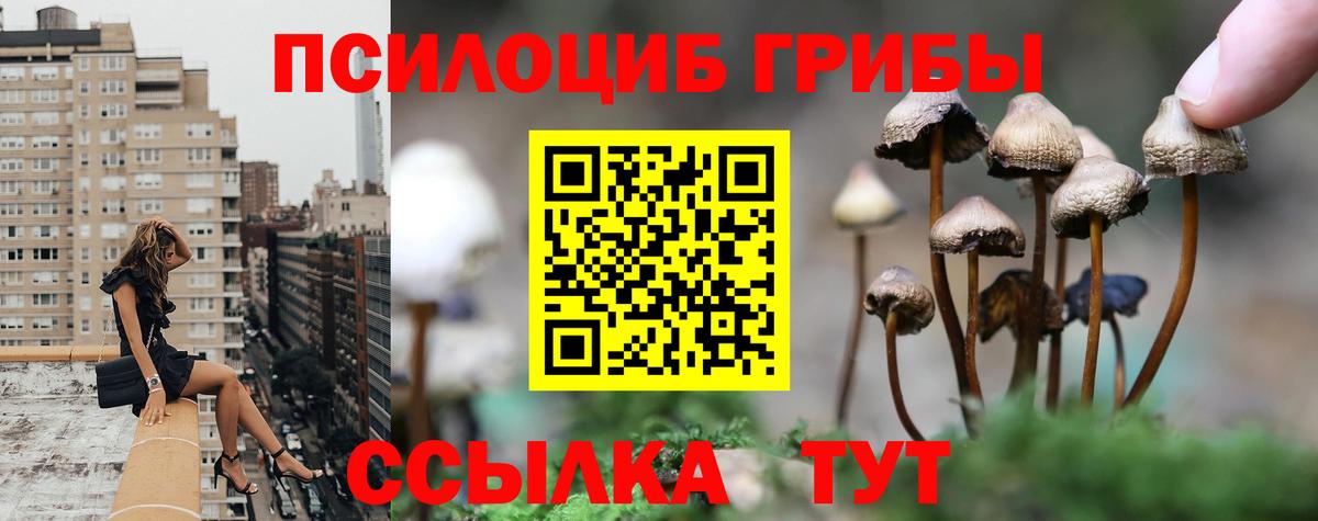 Псилоцибиновые грибы Magic Shrooms  Вход с VPN  Димитровград 